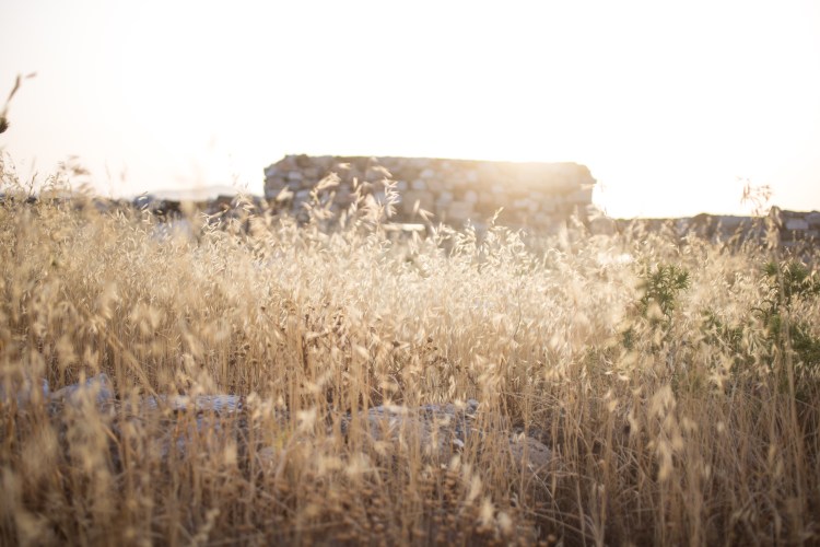 Greece 2013 Astypalaia-27-2