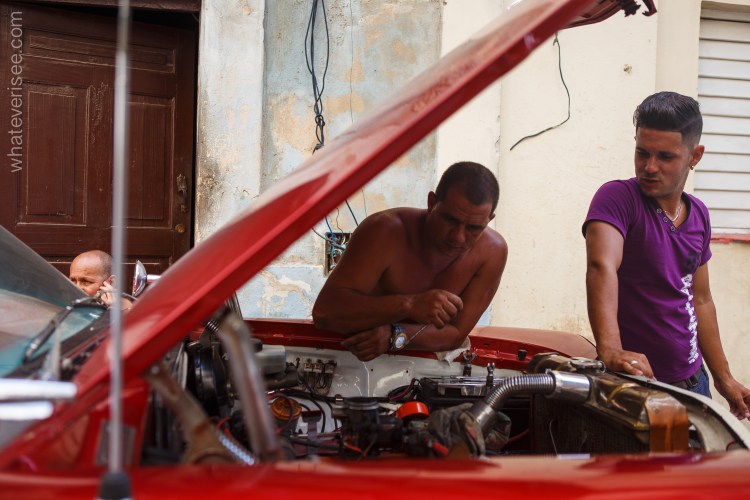 cuba_talexander_watermark-10