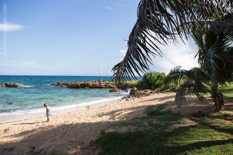 cuba_talexander_watermark-14