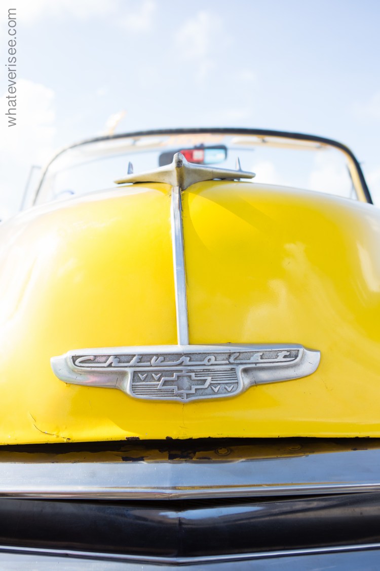 cuba_talexander_watermark-19