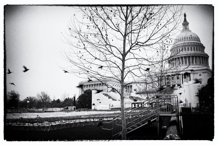 day-after-inauguaration_whateverisee2